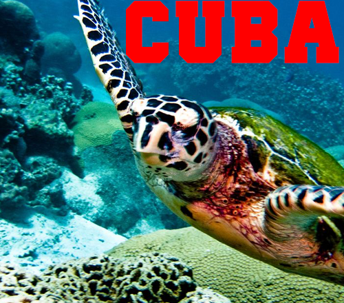 Il paradiso delle foto subacquee: Cuba