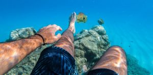 Foto subacquea con pesci scattata con GoPro