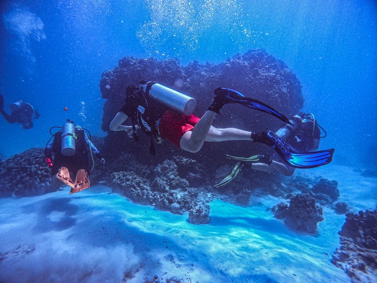 Foto sott'acqua di sub davanti ad una barriera corallina