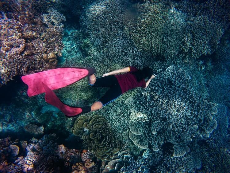 Foto sott'acqua di ragazza con pinne e macchinetta tra i coralli